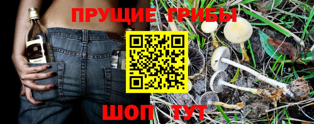 Псилоцибиновые грибы Magic Shrooms  Вход с VPN  Еманжелинск 